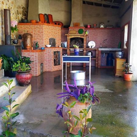Casa Aurora Βίλα Penacova Εξωτερικό φωτογραφία